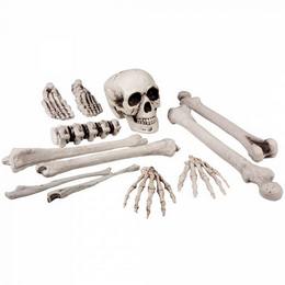 Csontváz Részek Dekoráció, 12 db-os