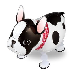 Sétáló Francia Bulldog Kutya Lufi