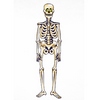Csontváz Dekoráció Halloweenre