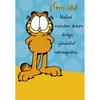 Garfield - Nem adok drága ajándékot... - Névnapi Képeslap