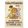 Garfield - Ma mindenki szeret! Szülinapi Képeslap