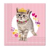 Trendy Cat Happy Birthday Szülinapi Parti Szalvéta - 33 cm x 33 cm, 20 db-os